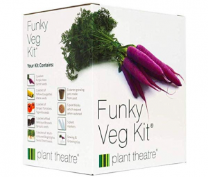 Shows a purple carrot on a white box